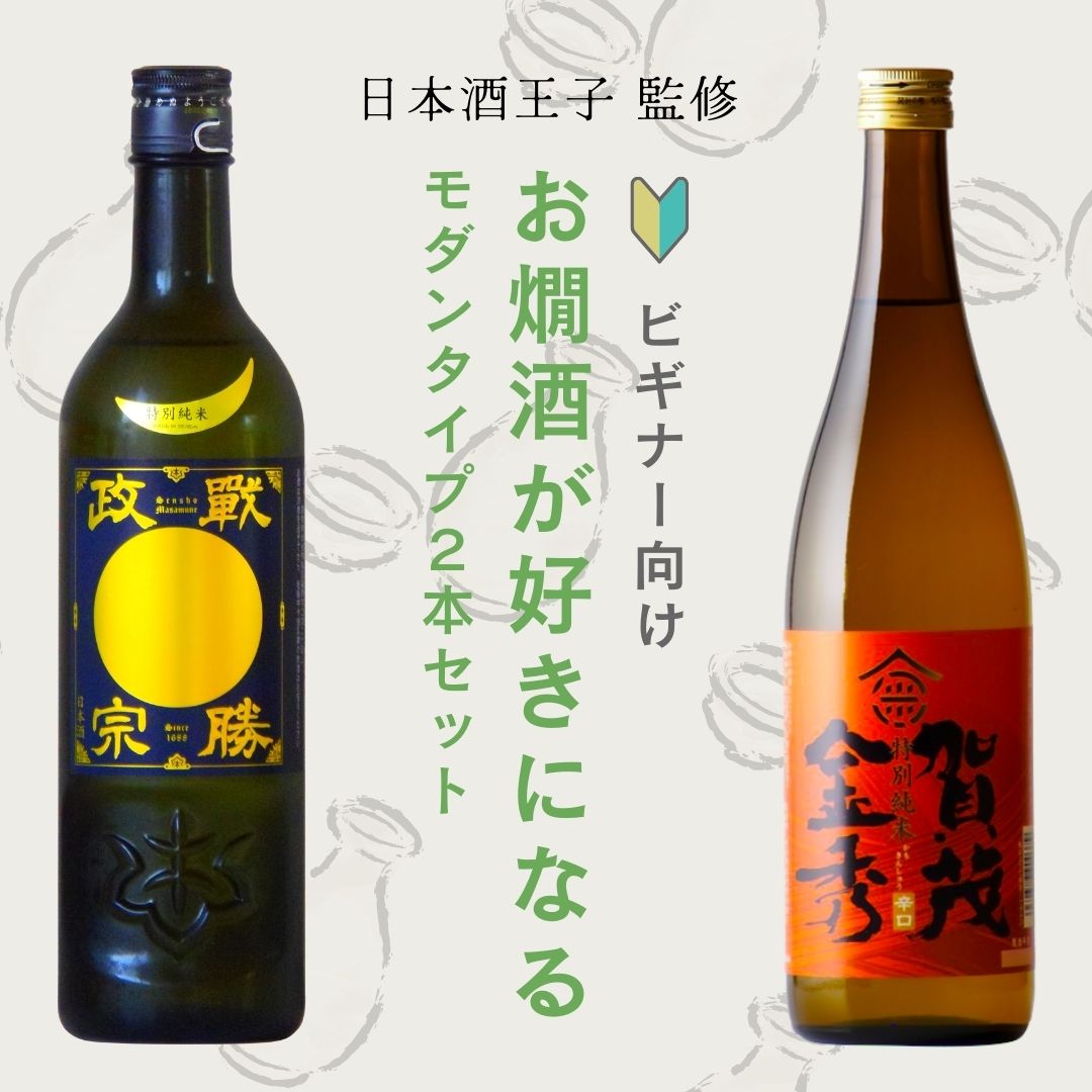 ビギナー向け】燗酒が好きになる モダンタイプ 720ml 2本セット