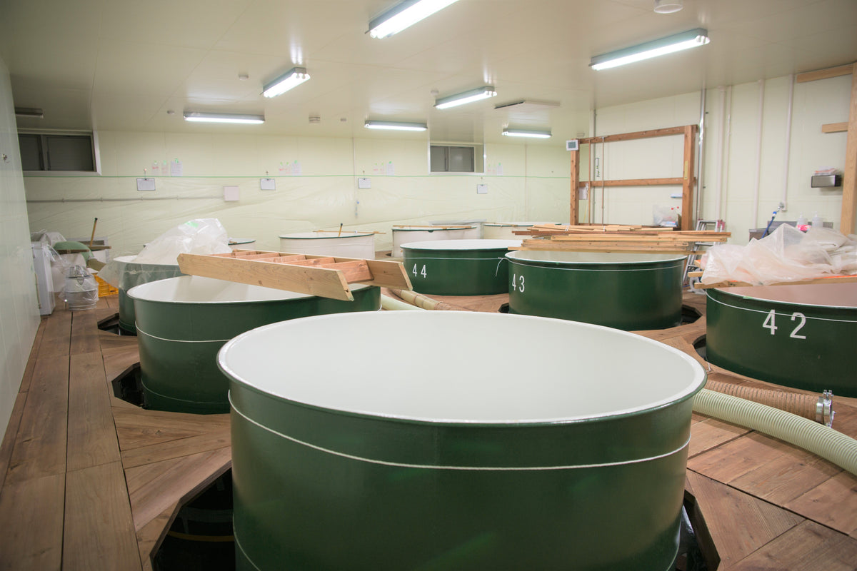 萩の鶴 別仕込 ハロウィン猫ラベル 720ml