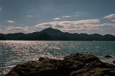 福海 山田錦 生酛 720ml