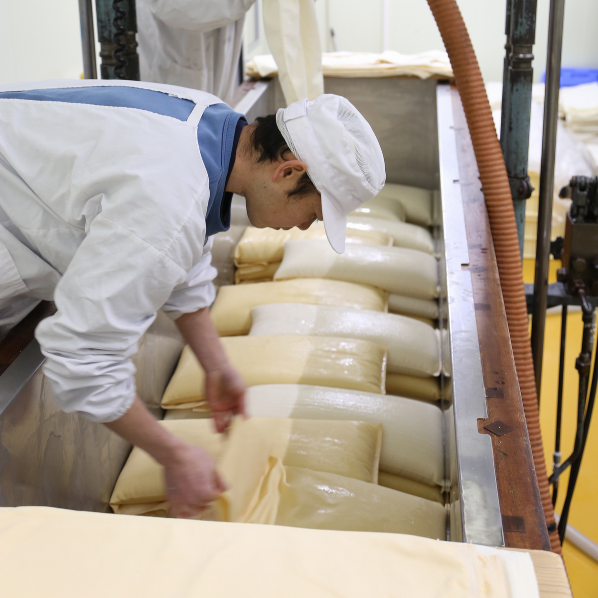 今錦(いまにしき) おたまじゃくし 特別純米 ひやおろし 720ml