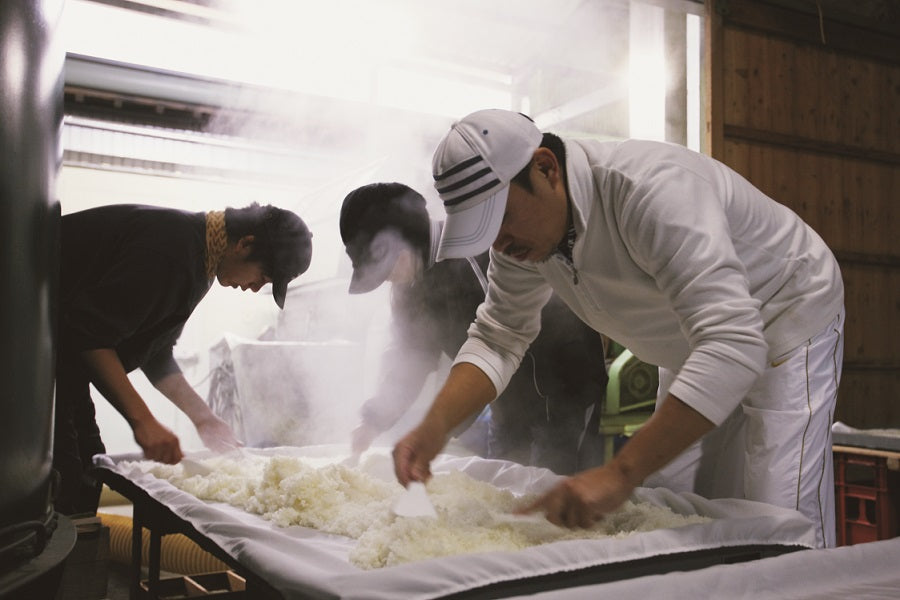 石鎚 特別純米 ひやおろし 1800ml