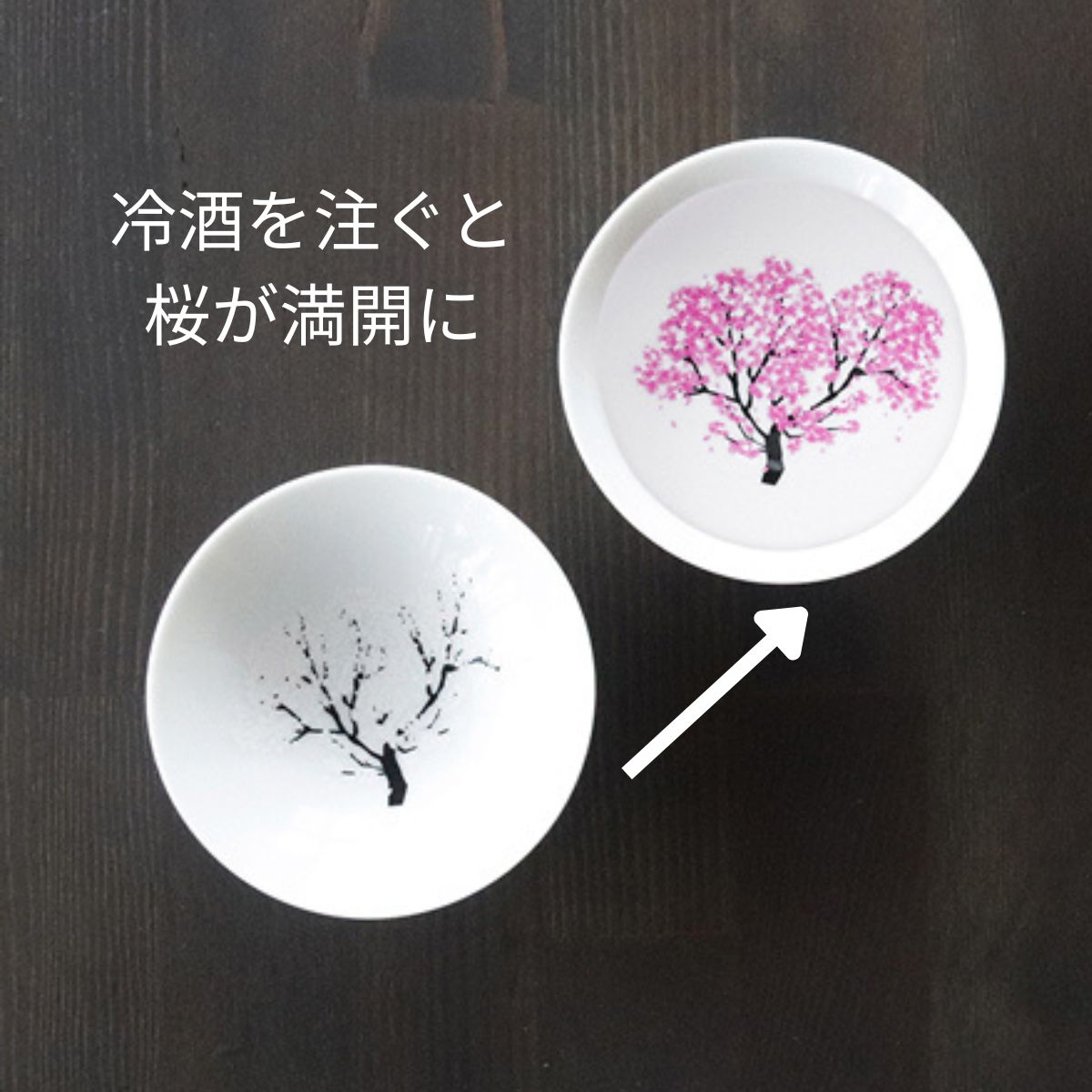 注ぐと満開。桜が咲く 冷感平盃 桜 ｜美濃焼 酒器（丸モ高木陶器