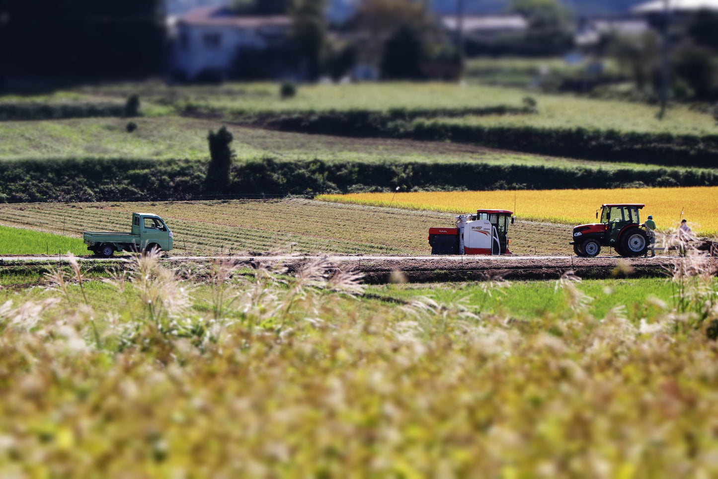 望 純米吟醸 夢ささら 生原酒 720ml