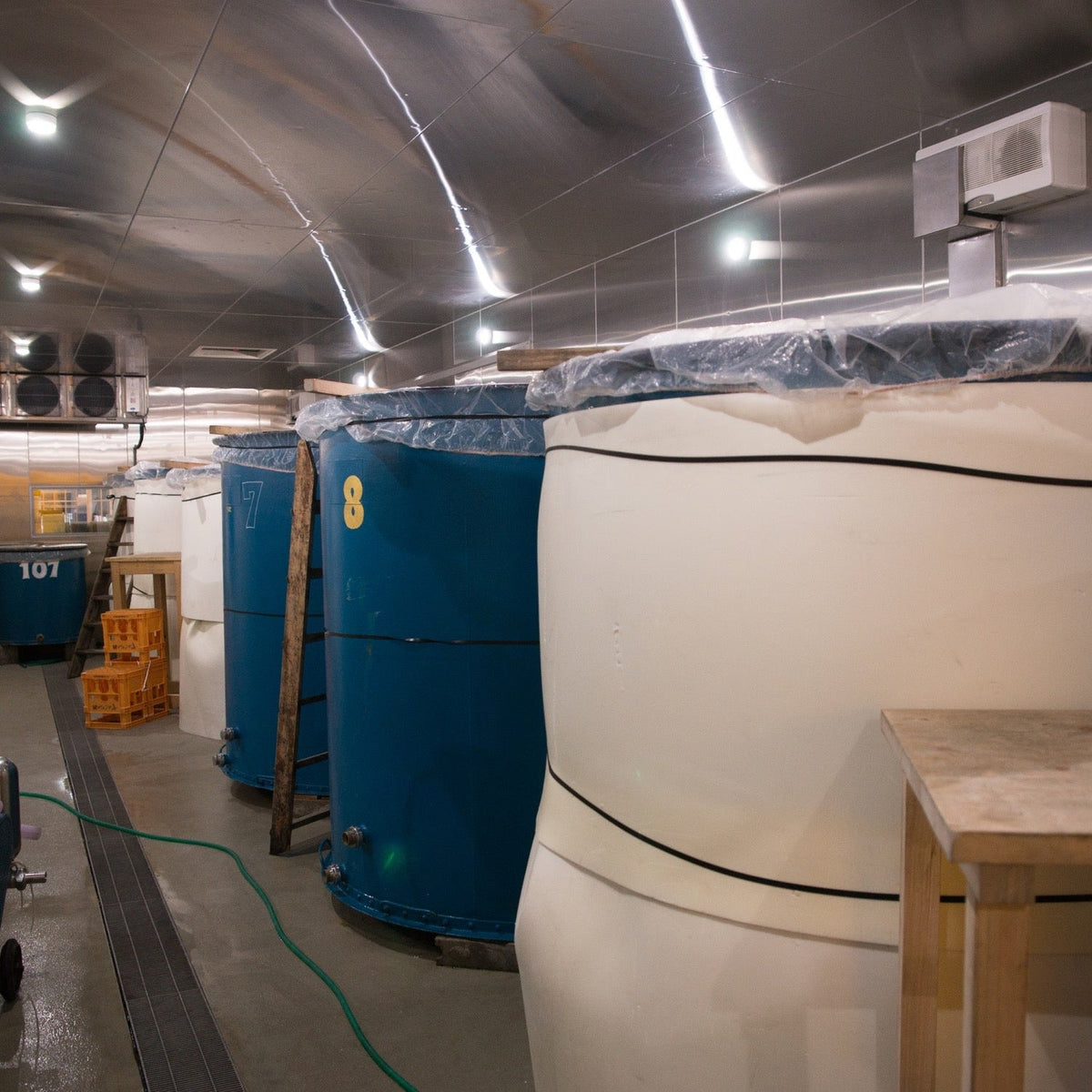 東洋美人 醇道一途(じゅんどういちず) 限定純米吟醸 羽州誉 720ml