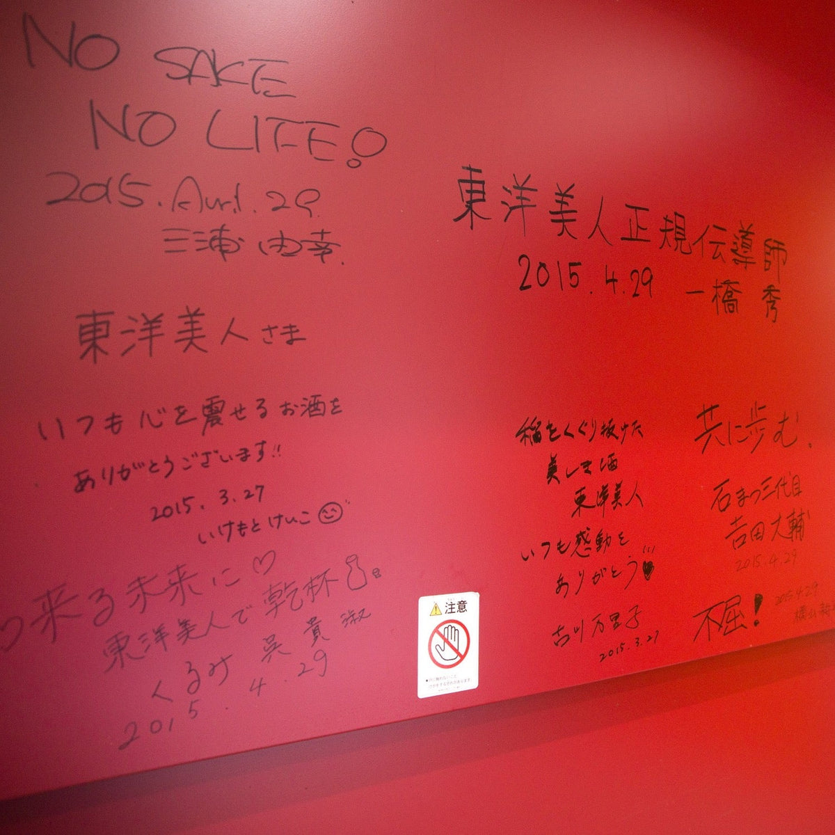 東洋美人 限定純米吟醸 醇道一途(じゅんどういちず) 白鶴錦 720ml