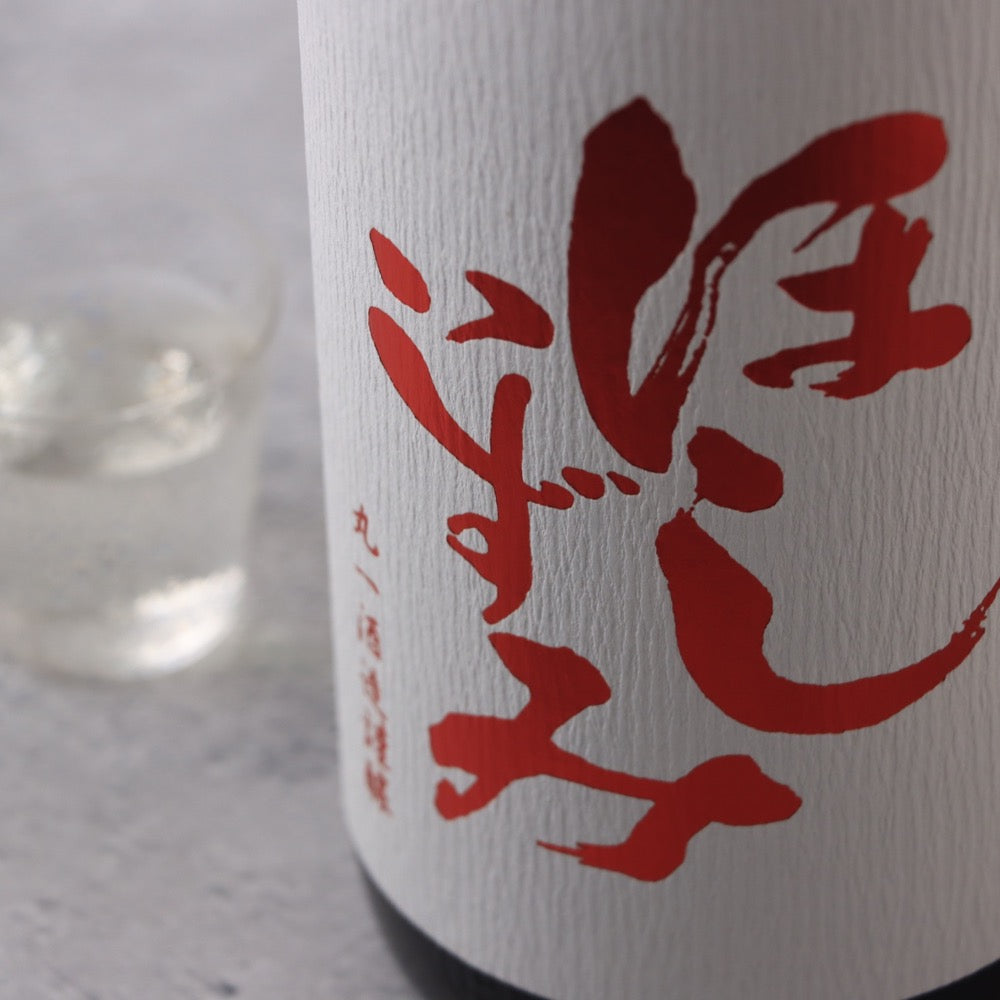 アキ出品 アキレス・ソルボ C 604 ヌバック/コーヒー｜牛革3Eクロッグシューズ