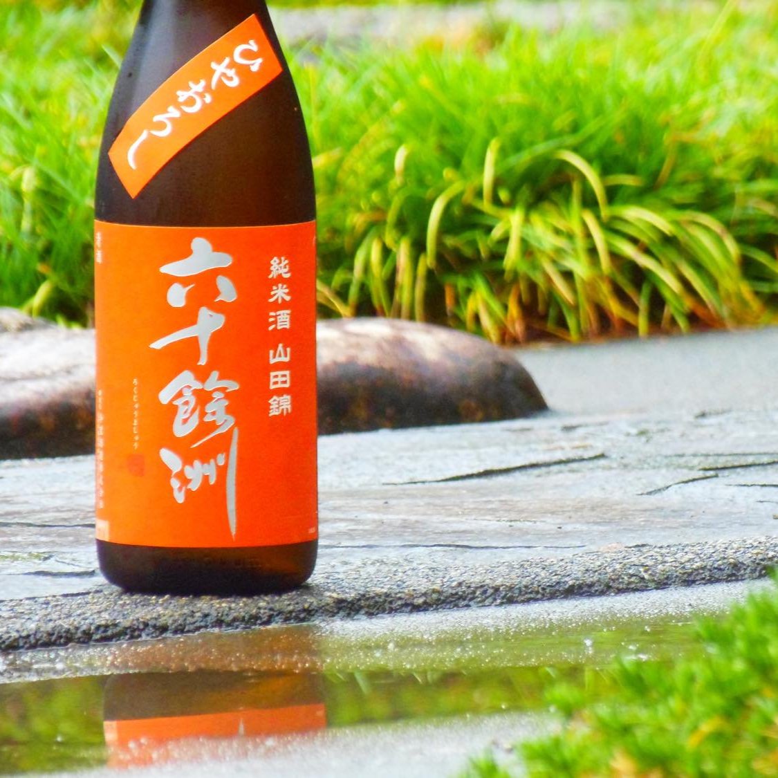 六十餘洲 純米原酒 ひやおろし 1800ml