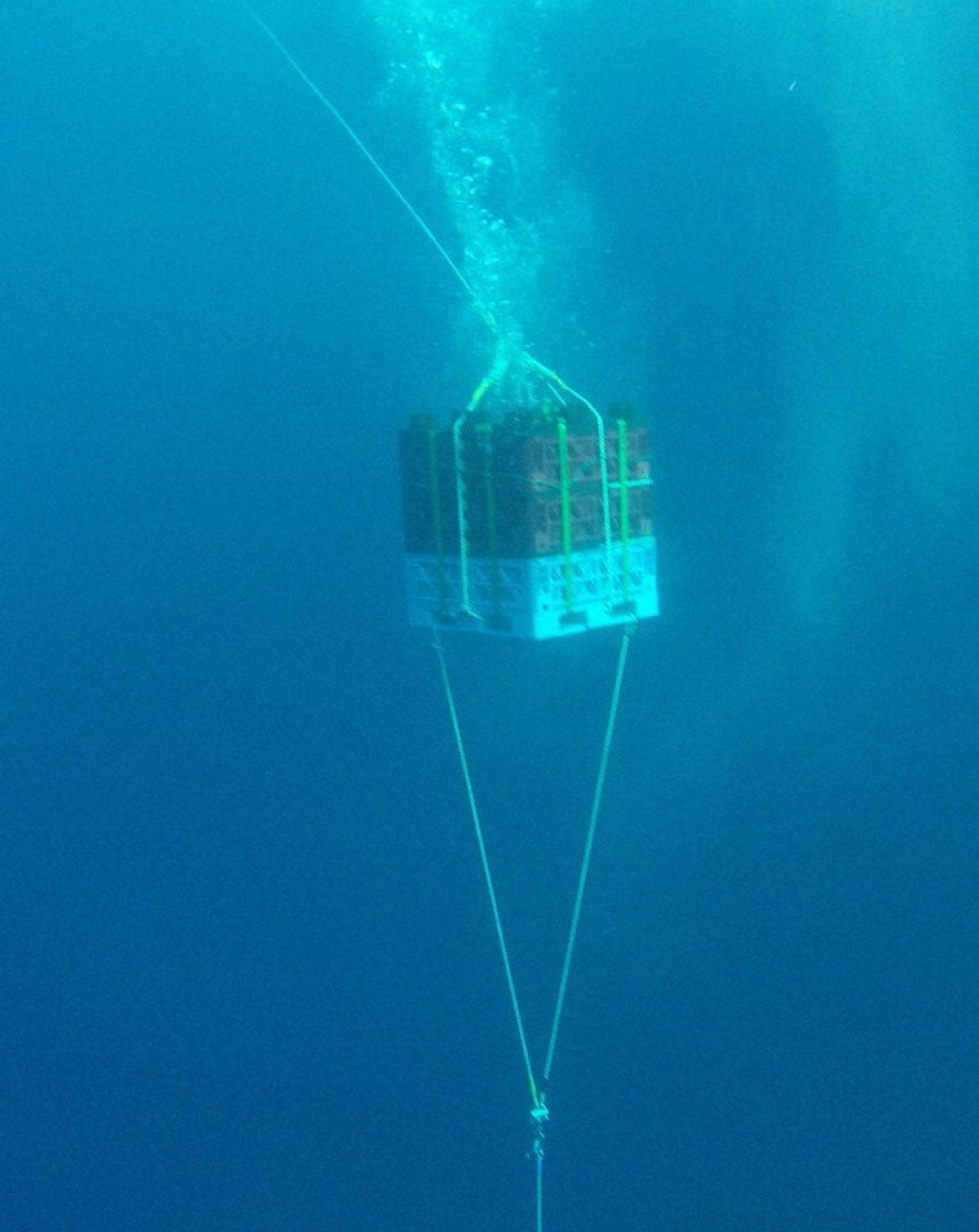 安芸虎 深海の宇宙(そら) 純米大吟醸 720ml