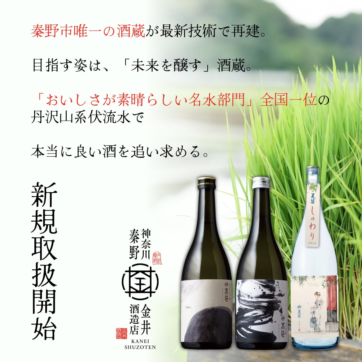 黒笹 Revive 純米吟醸 720ml