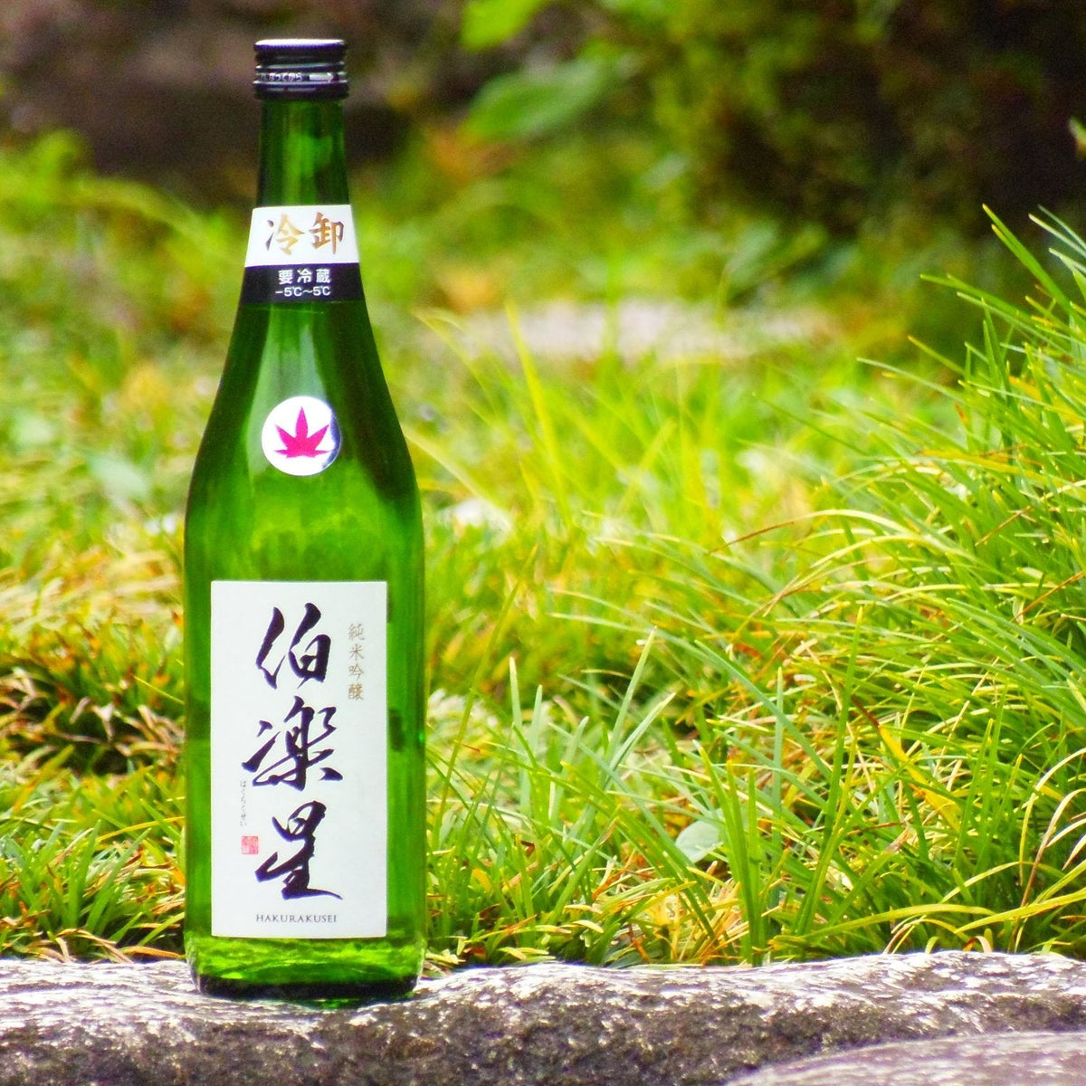 伯楽星 純米吟醸 冷卸 1800ml