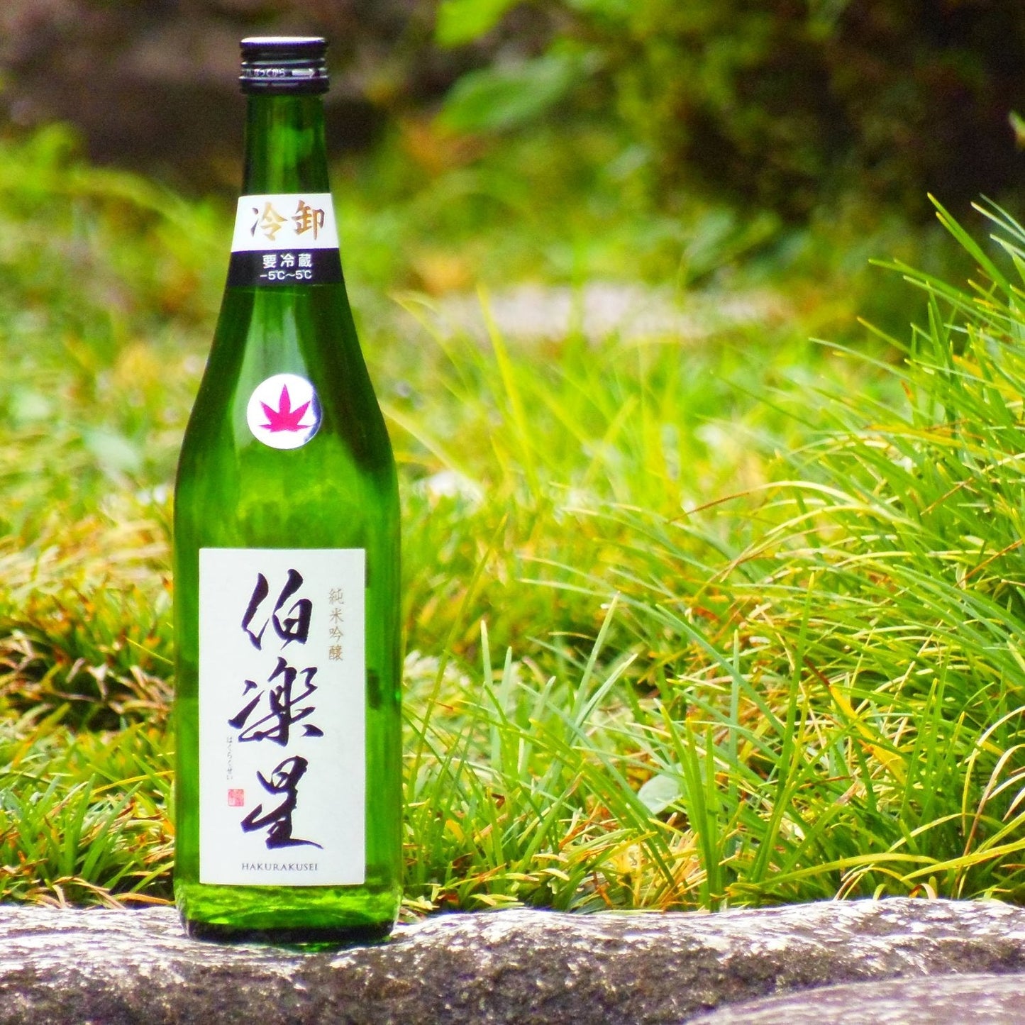 伯楽星 純米吟醸 冷卸 1800ml