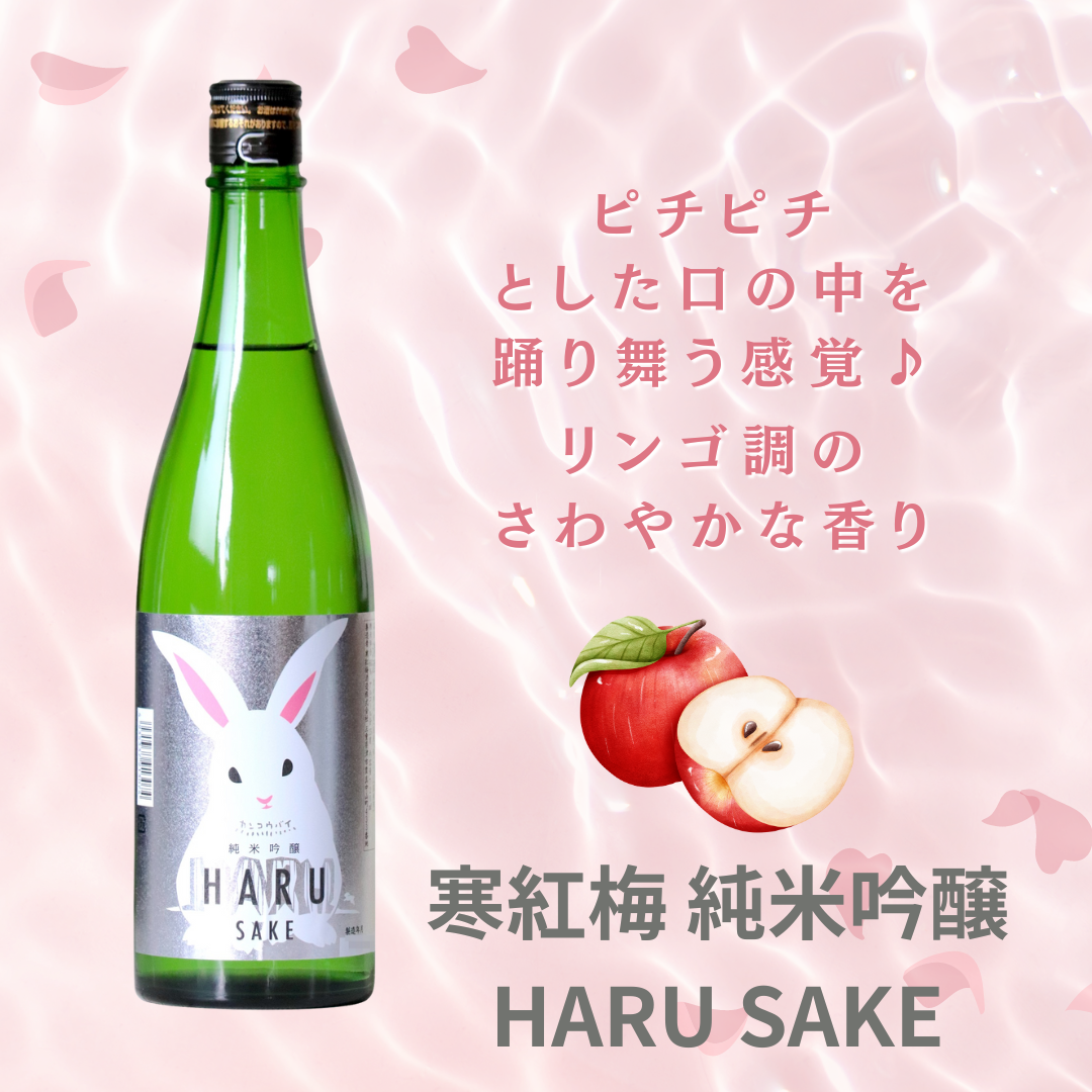 寒紅梅 純米吟醸 HARU SAKE うさぎラベル 1800ml | かんこうばい 寒紅梅 純米吟醸 HARU SAKE うさぎラベル 1800ml | かんこうばい
