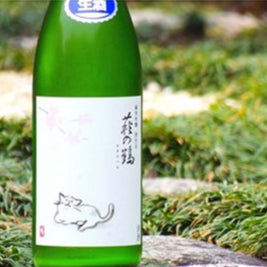 萩の鶴 純米吟醸 さくら猫ラベル 生原酒 1800ml