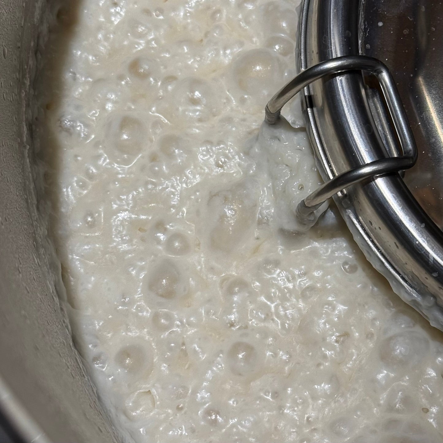 ハッピーどぶろく 生酛 酵母無添加 480ml