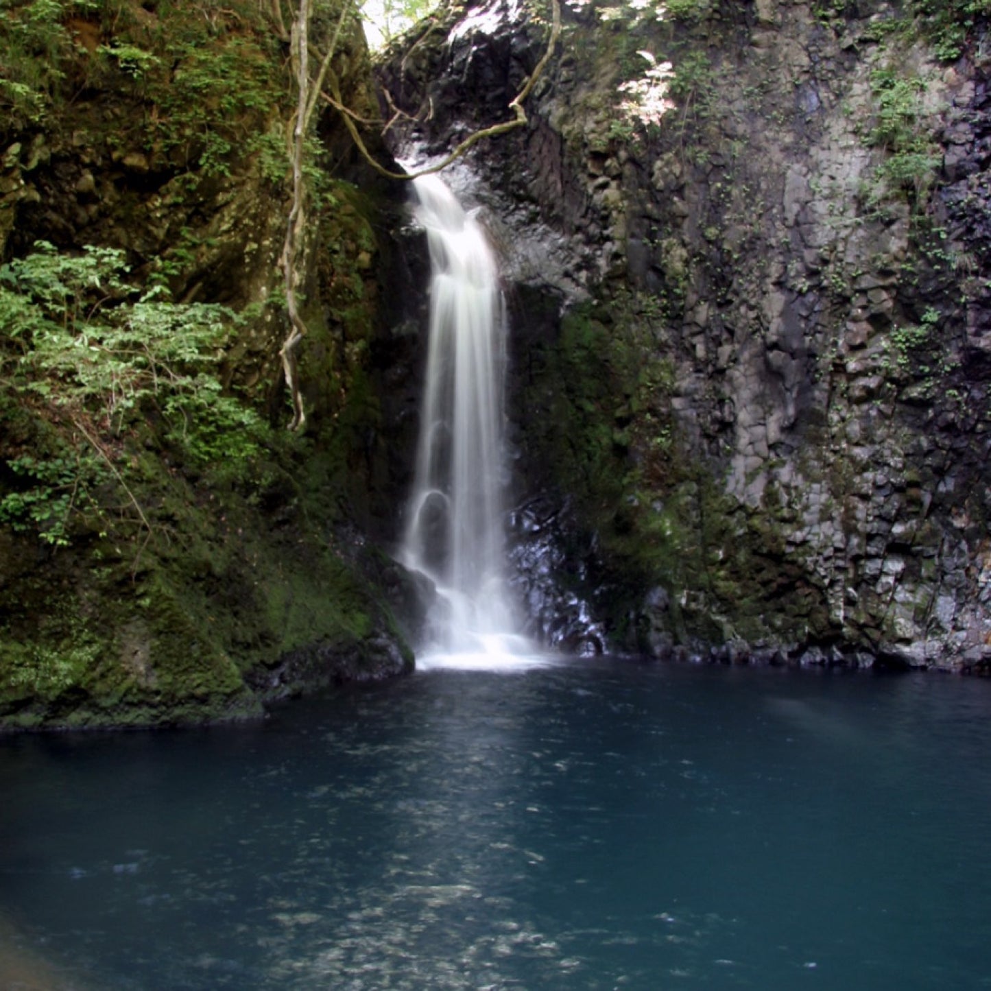 勝山 「暁」 純米大吟醸 遠心しぼり 720ml