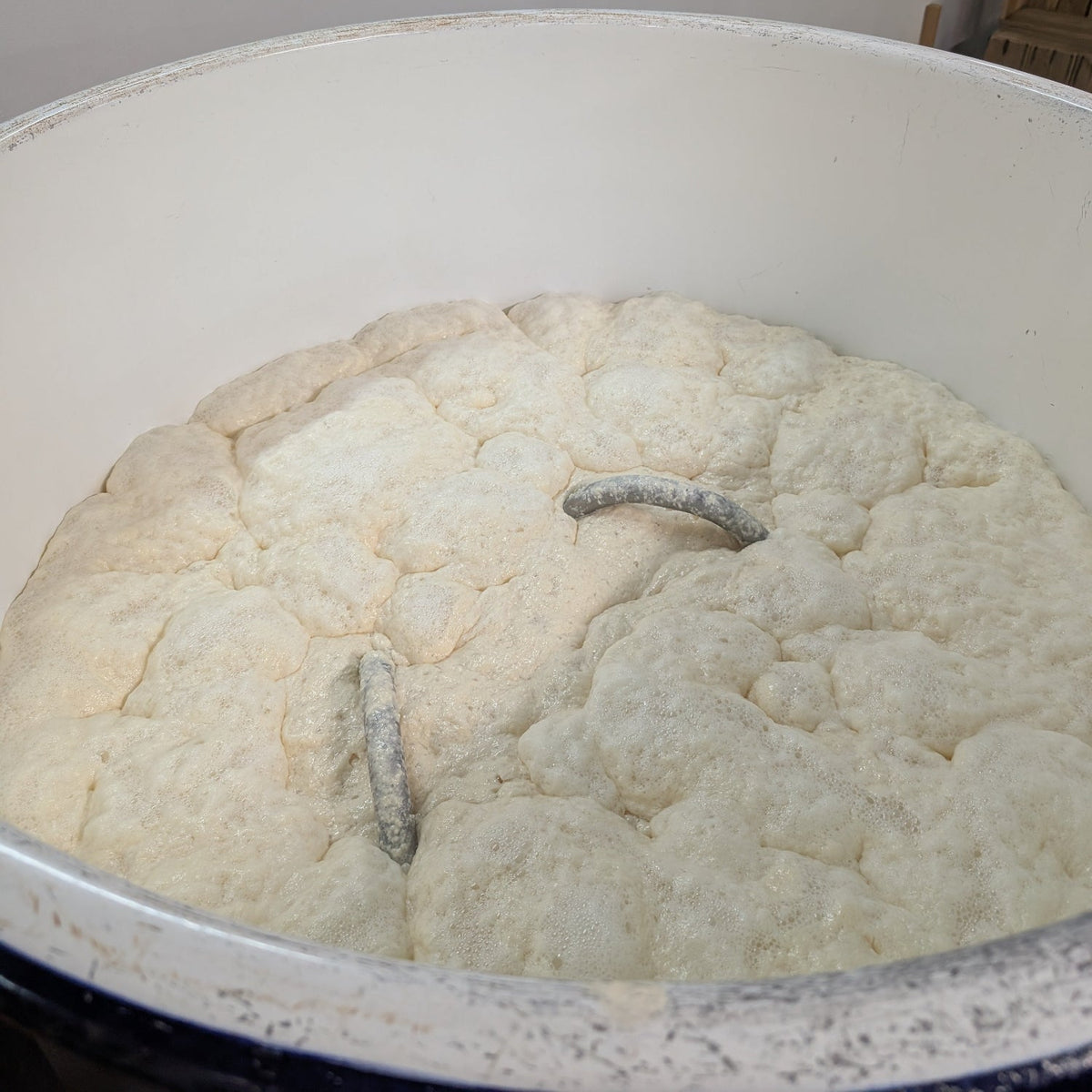 【予約】六十餘洲 純米吟醸 山田錦 生 1800ml【2月24日ごろ発送開始】