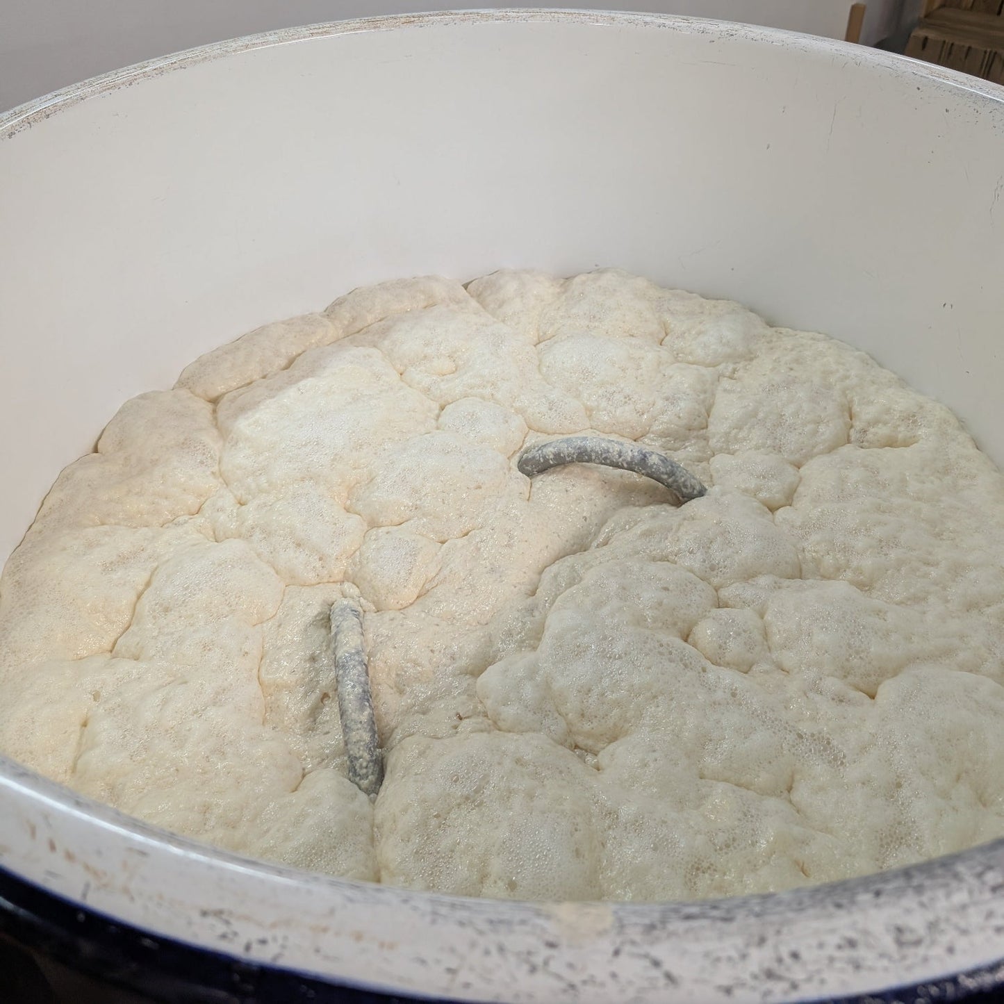 【予約】六十餘洲 純米吟醸 山田錦 生 1800ml【2月24日ごろ発送開始】