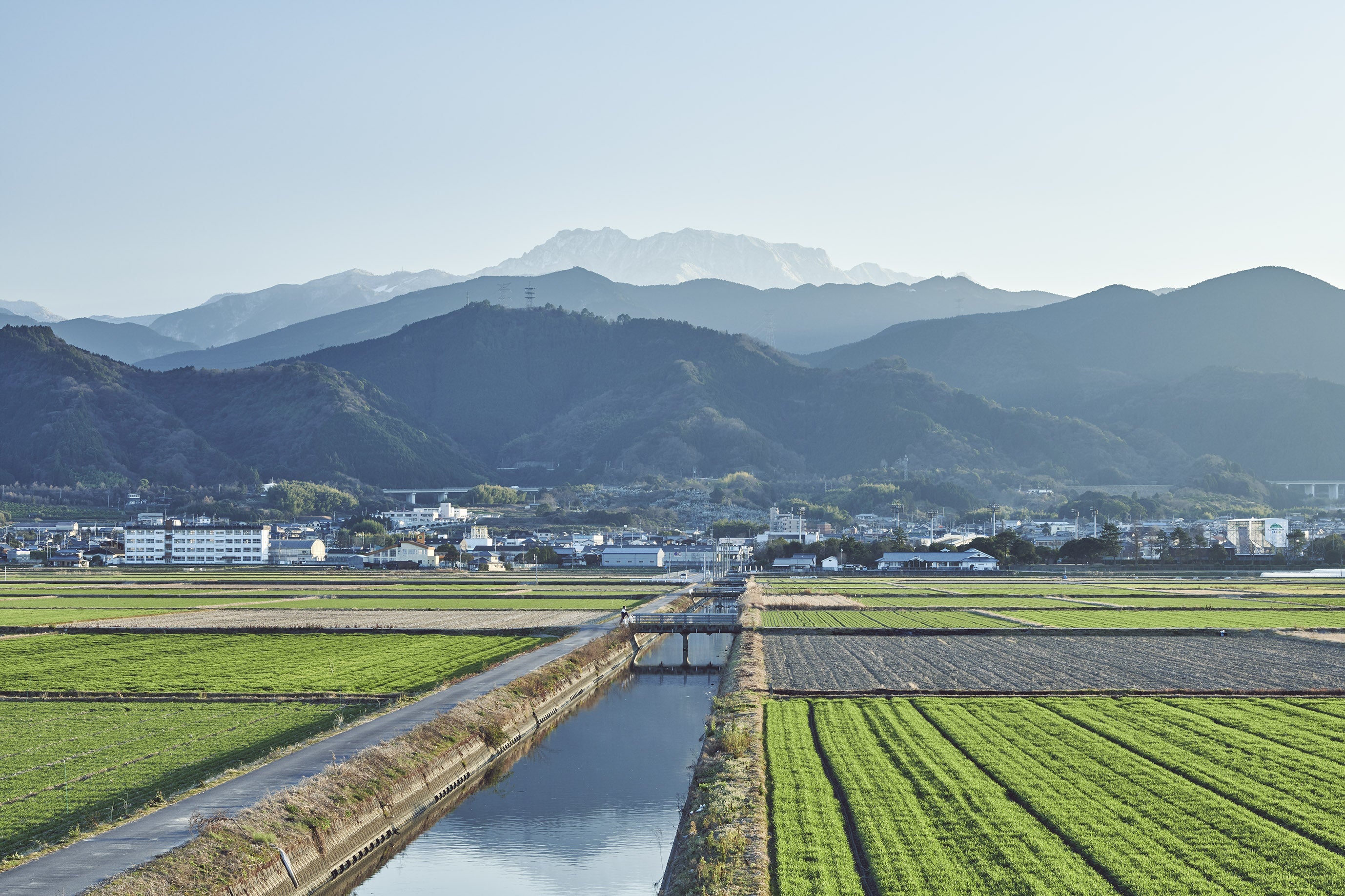 石鎚 純米吟醸 山田錦 720ml | いしづち じゅんまいぎんじょう やまだ