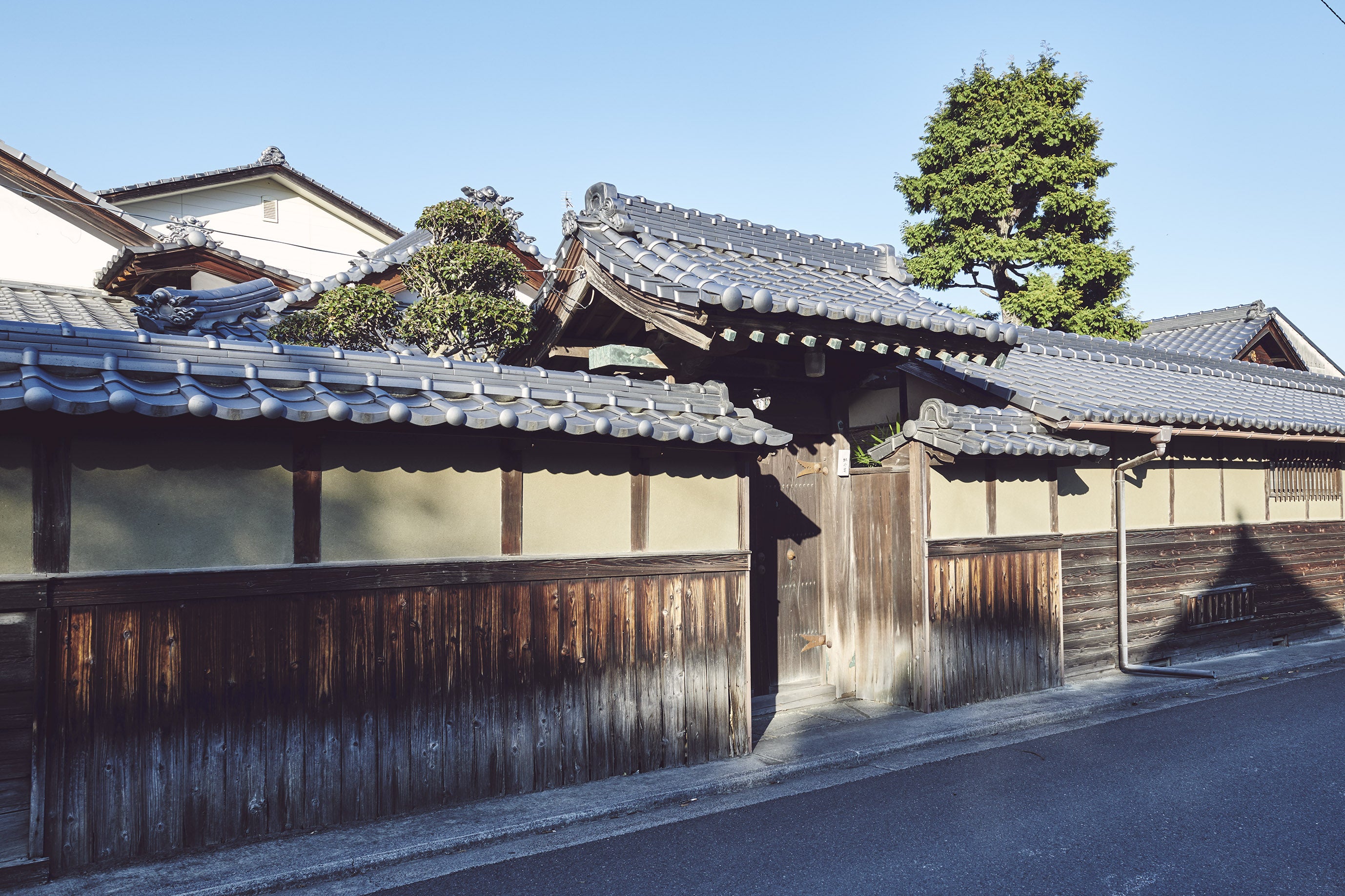 石鎚 真精大吟醸 無濾過原酒 袋吊りしずく酒 720ml | いしづち じゅんまいぎんじょう やまだにしき 720ml いしづち  しんじょうだいぎんじょう むろかげんしゅ ふくろづりしずくさけ 720ml