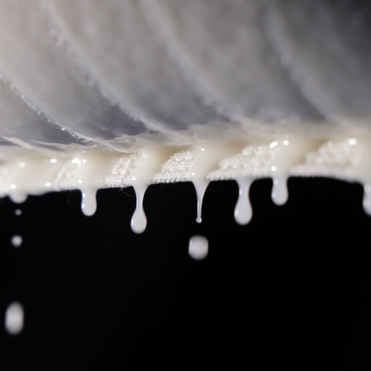 勝山」世界の受賞酒セット 「伝」＆「献」 720ml×2本【セット割