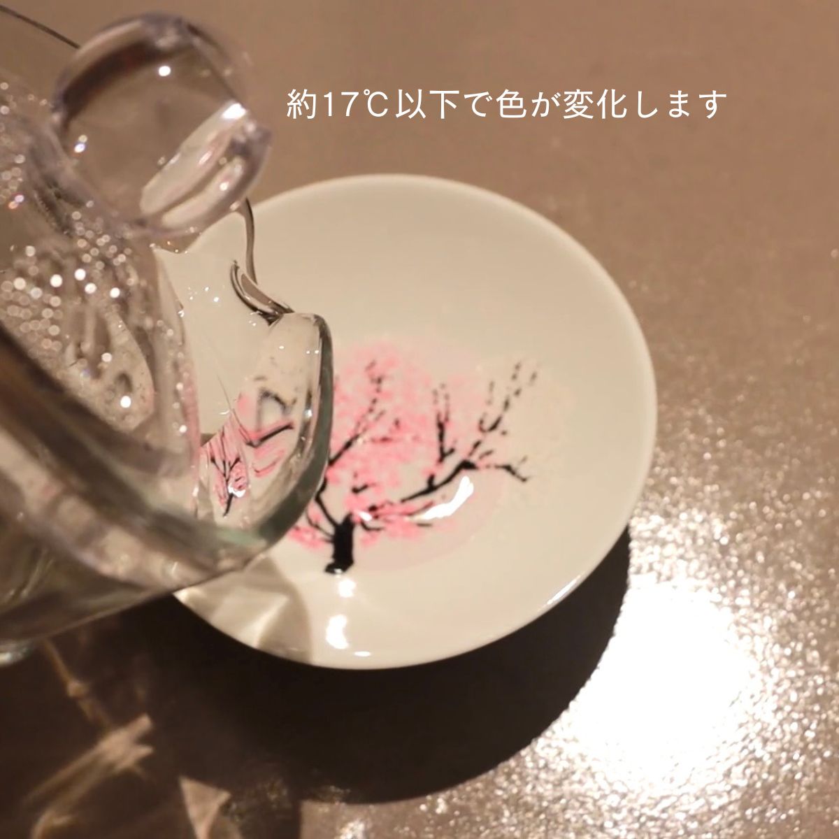 注ぐと満開。桜が咲く 冷感平盃 桜 ｜美濃焼 酒器（丸モ高木陶器）