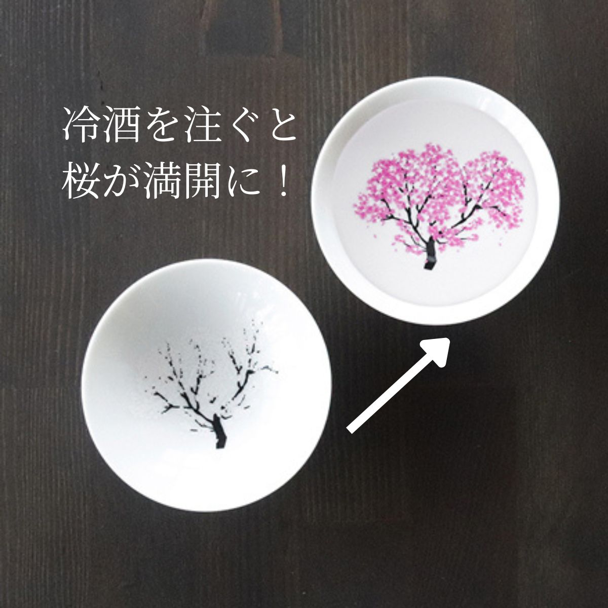 注ぐと満開。桜が咲く 冷感平盃 桜 ｜美濃焼 酒器（丸モ高木陶器）