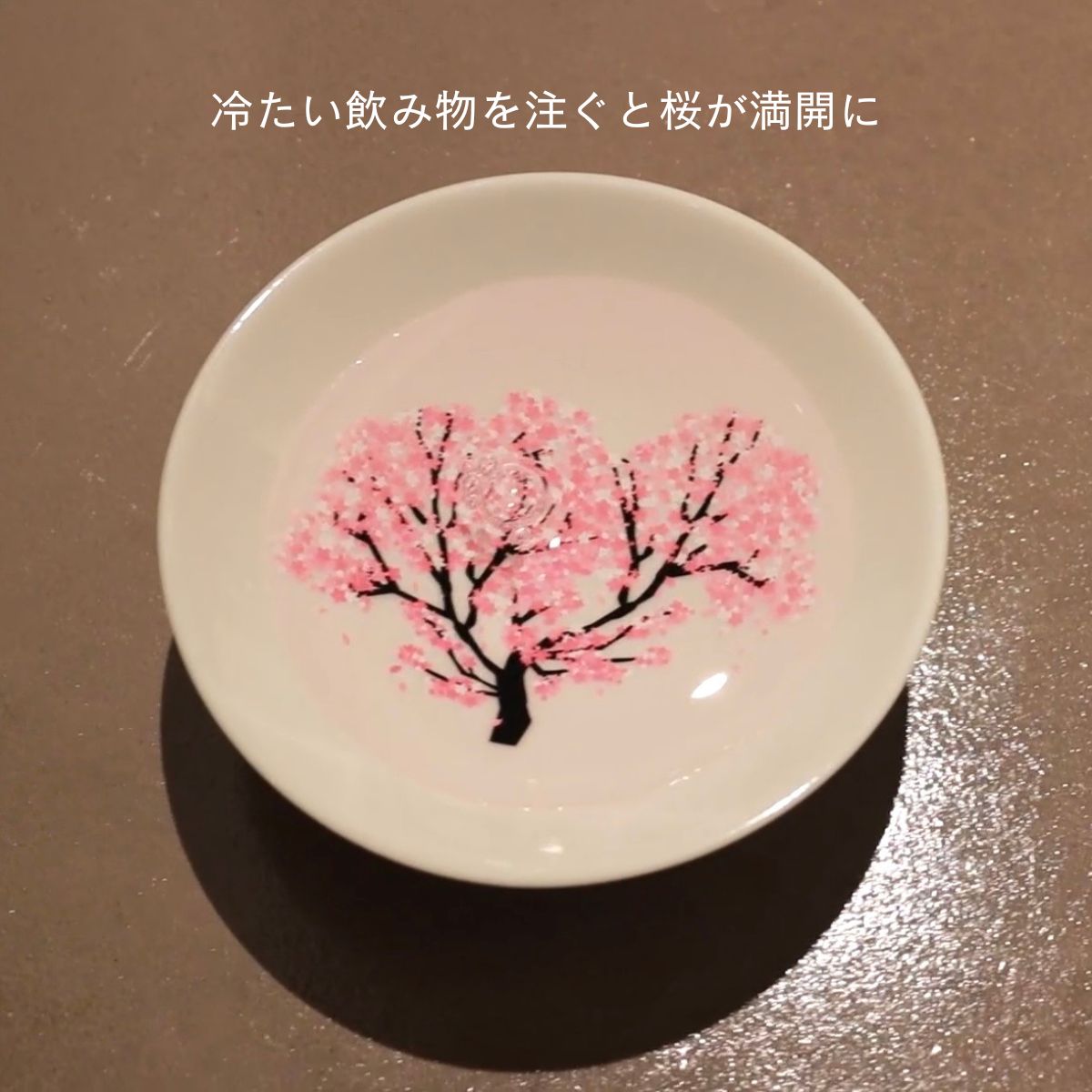 注ぐと満開。桜が咲く 冷感平盃 桜 ｜美濃焼 酒器（丸モ高木陶器）