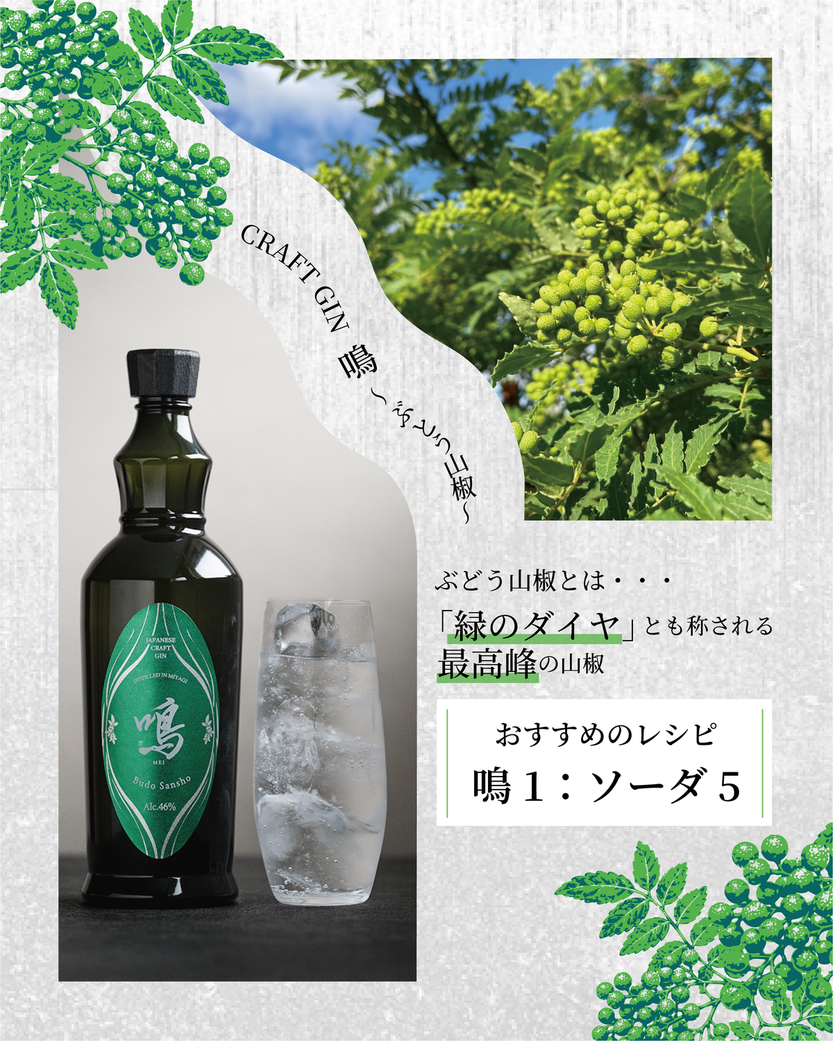 【予約】クラフトジン 鳴 (メイ) ぶどう山椒 700ml【9月21日ごろ発送開始】