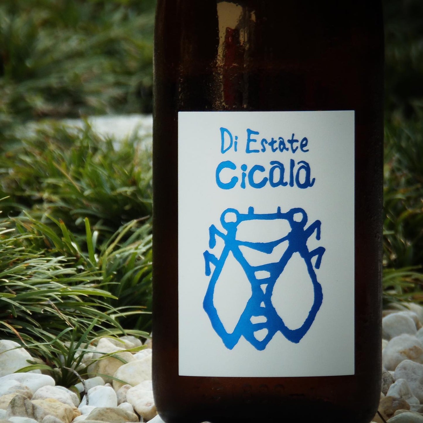 三井の寿(みいのことぶき) Cicala(チカーラ) 夏純吟 1800ml