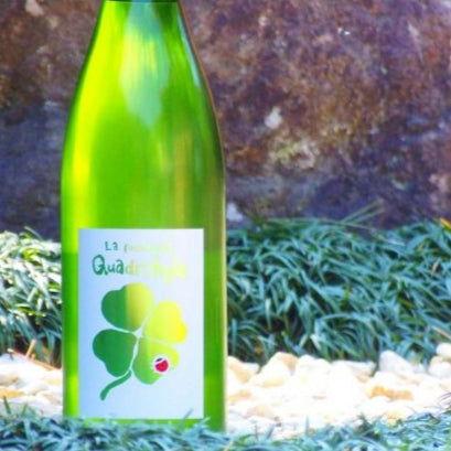 三井の寿(みいのことぶき) 春純吟 クアドリフォリオ うすにごり 生 1800ml