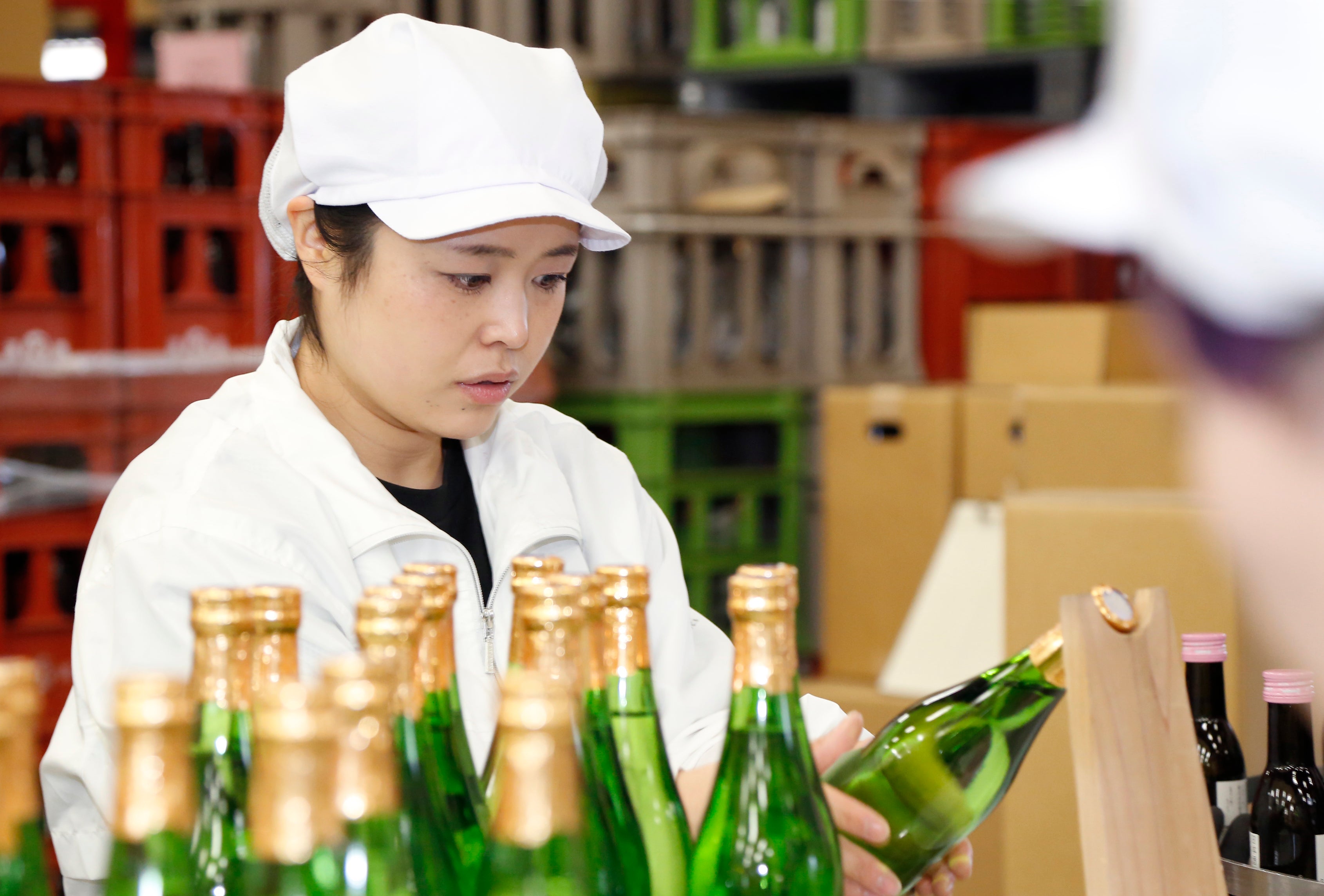 あたごのまつ 鮮烈辛口 本醸造 1800ml | あたごのまつ せんれつから