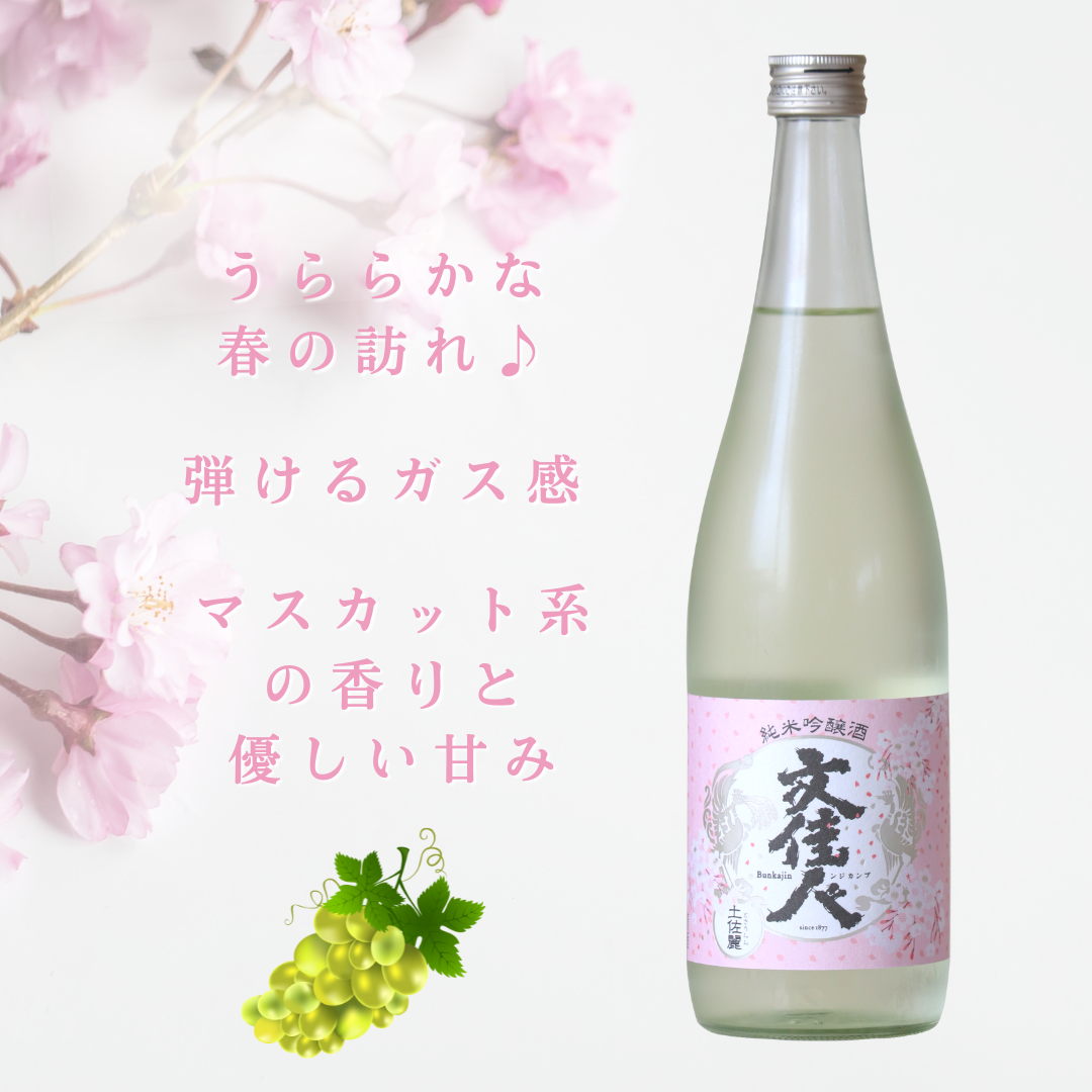 文佳人(ぶんかじん) 純米吟醸 土佐麗(とさうらら) 720ｍl
