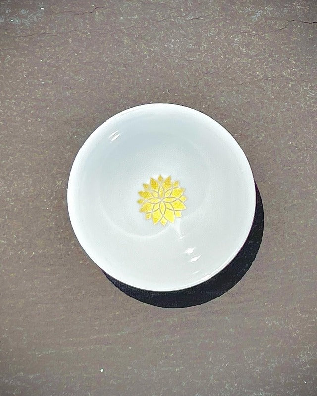 SYSTEMA SOLARE（シュステーマ ソラーレ） 750ml 専用平盃付き