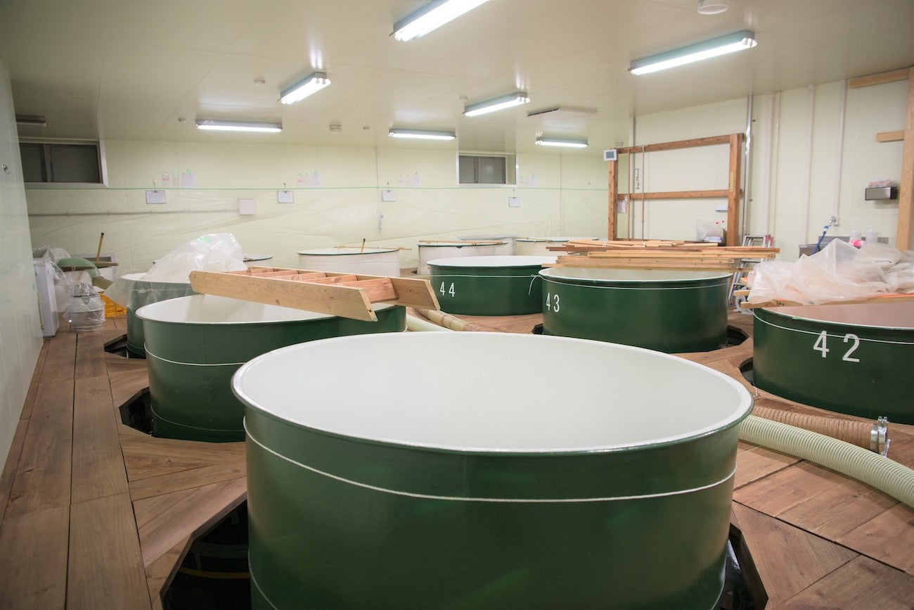 日輪田 生酛純米 ひまわりラベル720ml | ひわた きもとじゅんまい