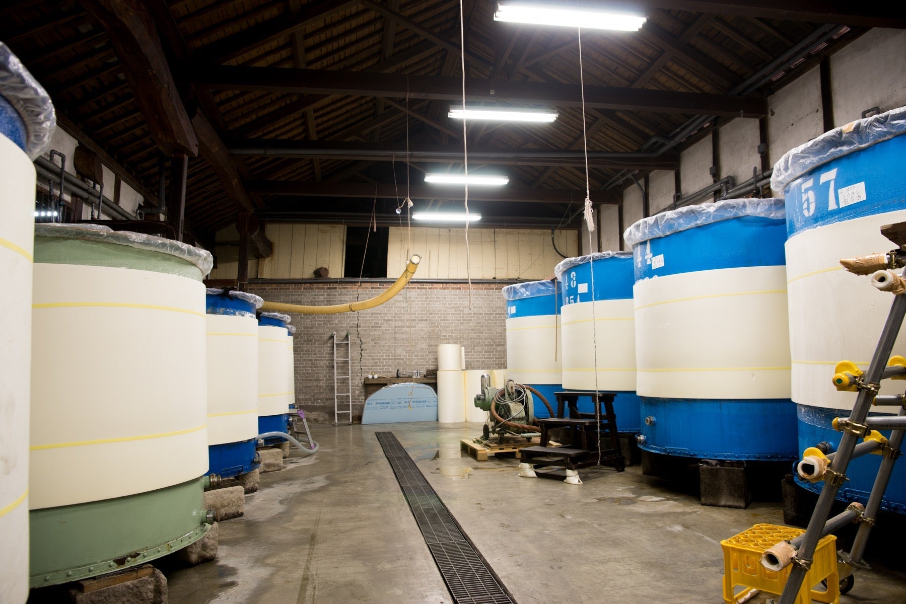 三井の寿(みいのことぶき) 春純吟 クアドリフォリオ うすにごり 生